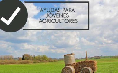 Ayudas para la creación de empresas para jóvenes agricultores (Submedida 6.1)