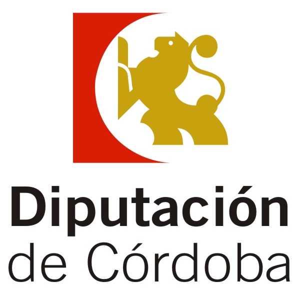 SUBVENCIONES RECIBIDAS EN 2019 DE LA DIPUTACION DE CÓRDOBA 1