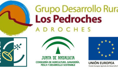 Ayudas previstas en las Estrategias de Desarrollo Local Leader en el marco de la submedida 19.2 del Programa de Desarrollo Rural de Andalucía 2014-2020