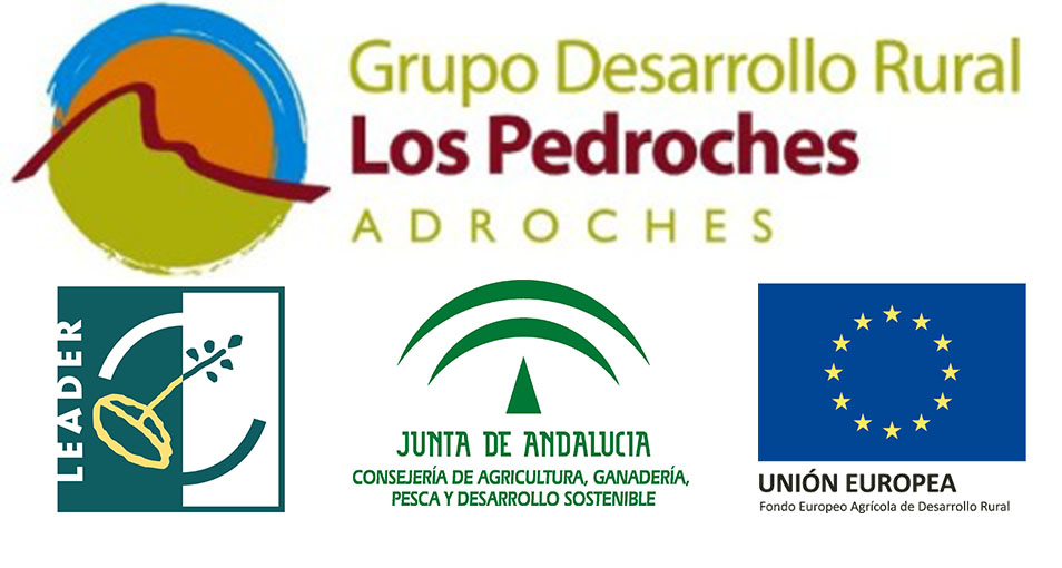 Ayudas previstas en las Estrategias de Desarrollo Local Leader en el marco de la submedida 19.2 del Programa de Desarrollo Rural de Andalucía 2014-2020  1