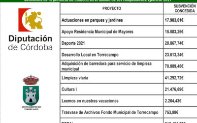 Plan Provincial de Reactivación Económica mediante la Asistencia a Municipios y Entidades Locales Autónomas de la provincia de Córdoba en el ámbito de sus competencias. Ejercicio 2021