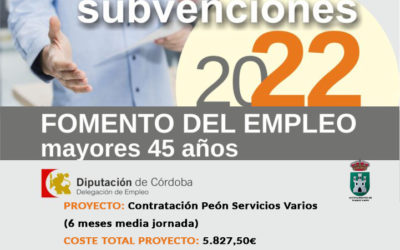 Convocatoria de Subvenciones a Municipios y Entidades Locales de la provincia de Córdoba para el Fomento del Empleo en Mayores de 45 años, 2022.