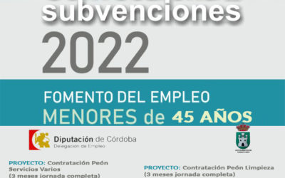 Convocatoria de Subvenciones a Municipios y Entidades Locales de la provincia de Córdoba para el Fomento del Empleo en Menores de 45 años. Año2022