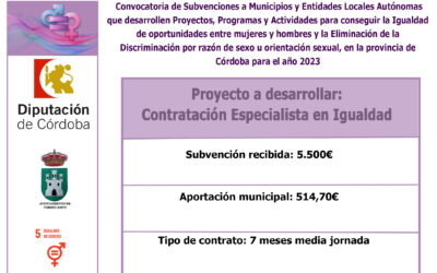 Convocatoria de Subvenciones a Municipios y Entidades Locales Autónomas que desarrollen Proyectos, Programas y Actividades para conseguir la Igualdad de oportunidades entre mujeres y hombres y la Eliminación de la Discriminación por razón de sexo u orientación sexual, en la provincia de Córdoba para el año 2023